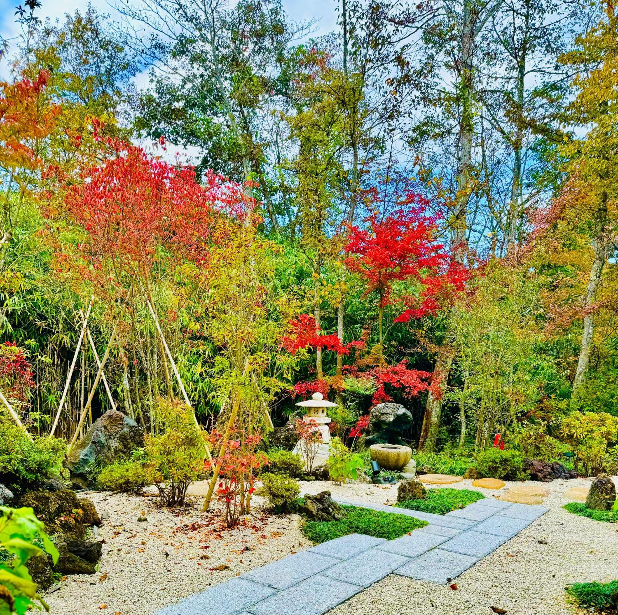 Private Villa Ietona Fujikawaguchiko Exteriör bild